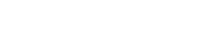 Salitex logo