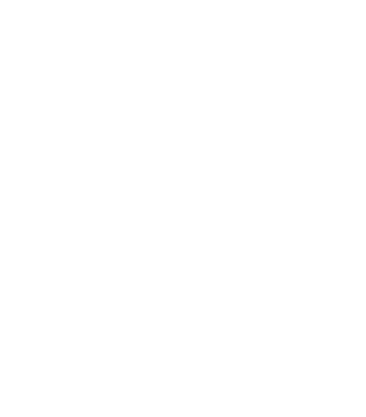 NIC logo