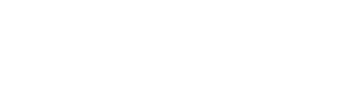 OneSkin logo